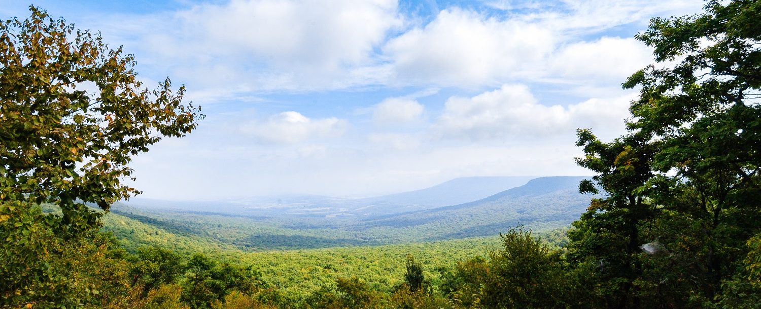 scenic mountain view with grass and trees