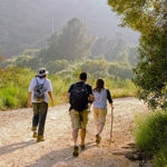 three hikers walking through nature